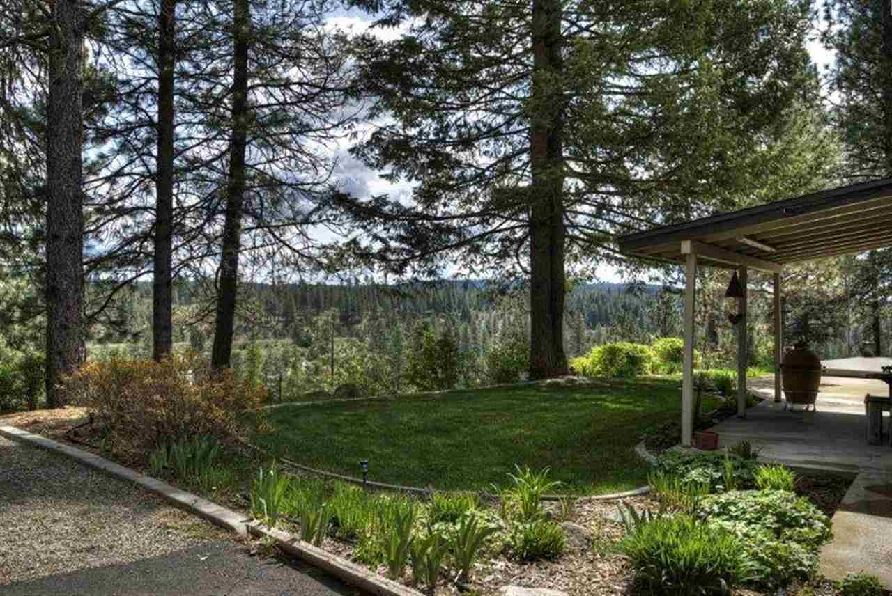 28616 N Selkirk View Dr - Photo 3