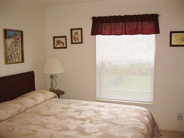 38766 Redwine Canyon Rd N - Photo 15