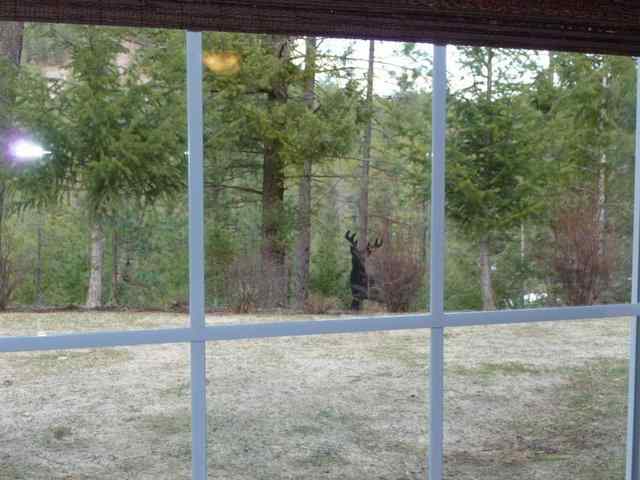 2520 Canyon Crest #2 Way - Photo 17