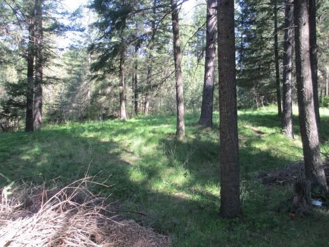 15105 E Blanchard Rd - Photo 10