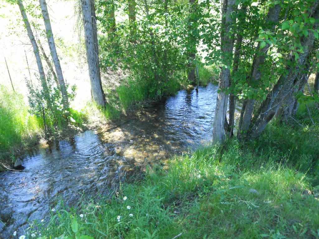 3275 B Deep Lake Boundary Rd - Photo 20