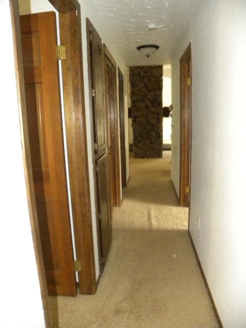 4126 S Terra Verde Dr - Photo 12