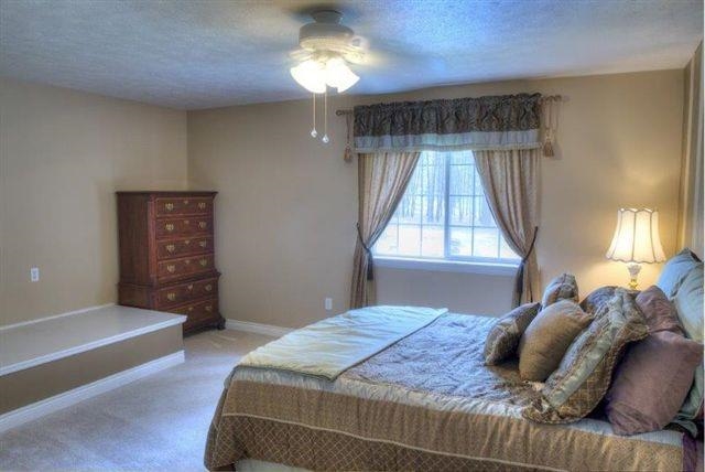 1638 E Horseshoe Cir - Photo 14