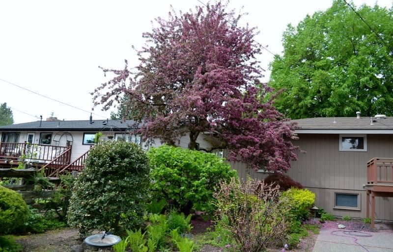 5505 S Pittsburg - Photo 19
