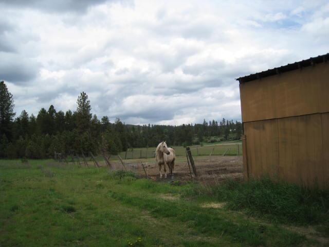 7921 E Hamilton Rd - Photo 9