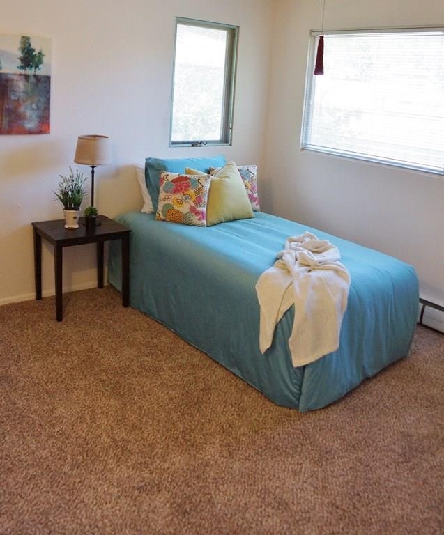 3520 W Woodside Ave - Photo 14