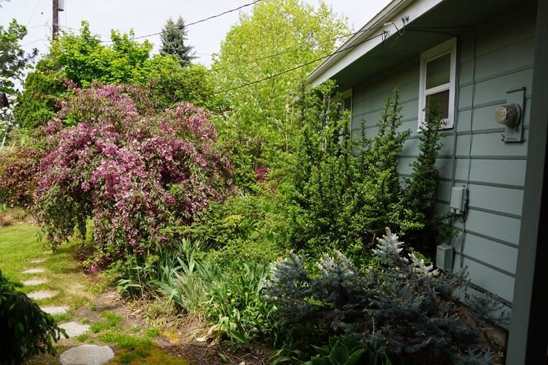 3520 W Woodside Ave - Photo 18