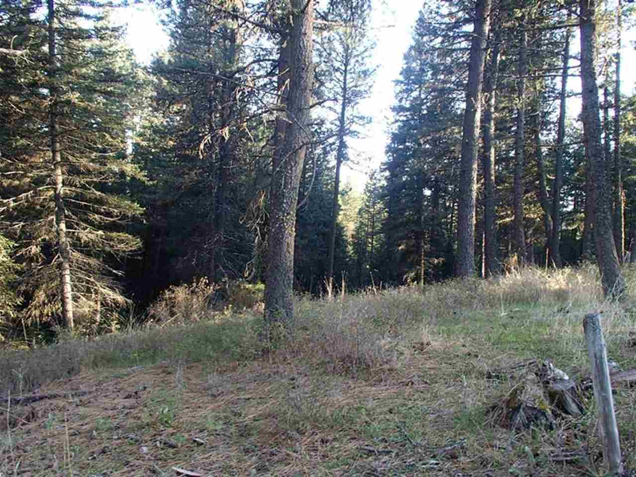 42411 N Sundance Rd - Photo 16