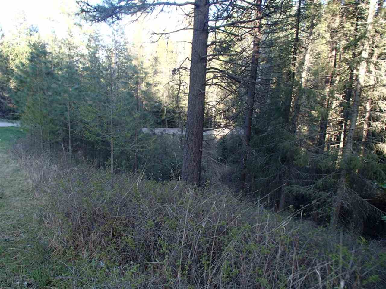 42411 N Sundance Rd - Photo 17
