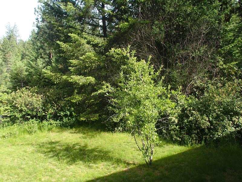 5067 F Rail Canyon Rd - Photo 16