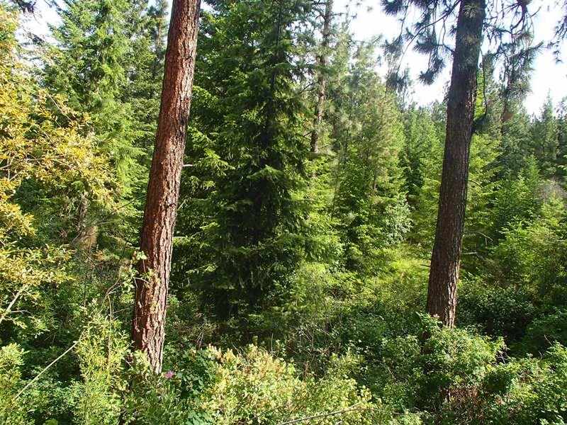 5067 F Rail Canyon Rd - Photo 18