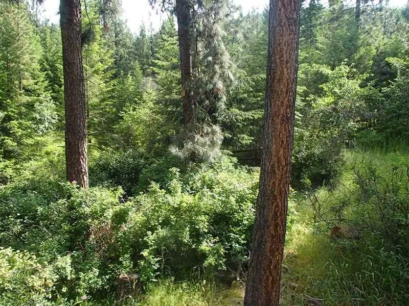 5067 F Rail Canyon Rd - Photo 19