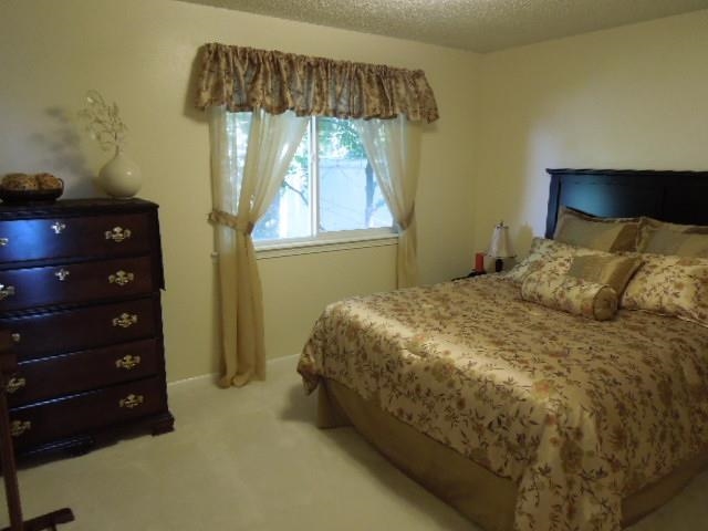 2104 VERA CREST Dr - Photo 15