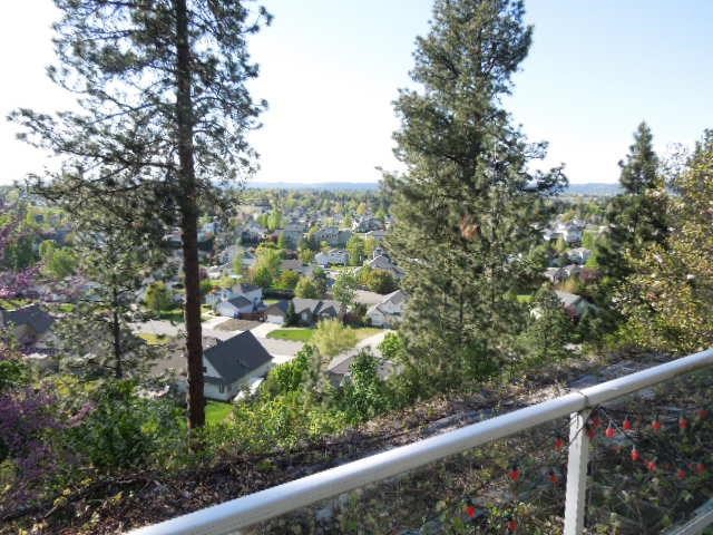 2104 VERA CREST Dr - Photo 19