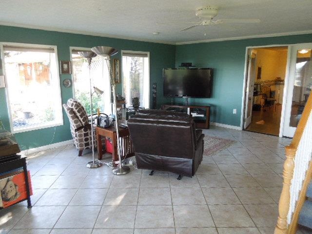 2104 VERA CREST Dr - Photo 8