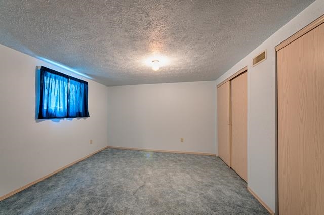 1615 S Collins - Photo 13