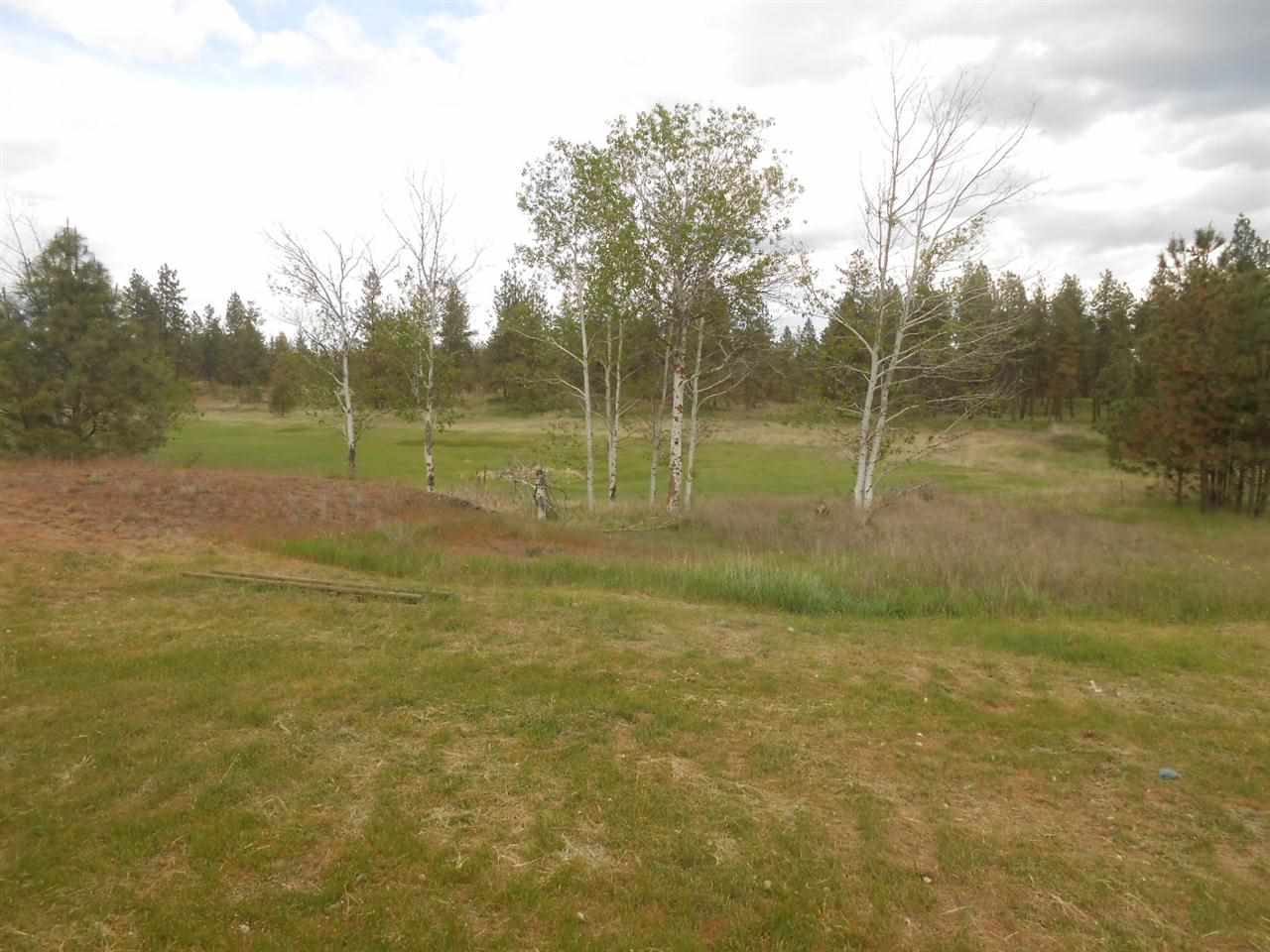 24717 S Carman Rd - Photo 5