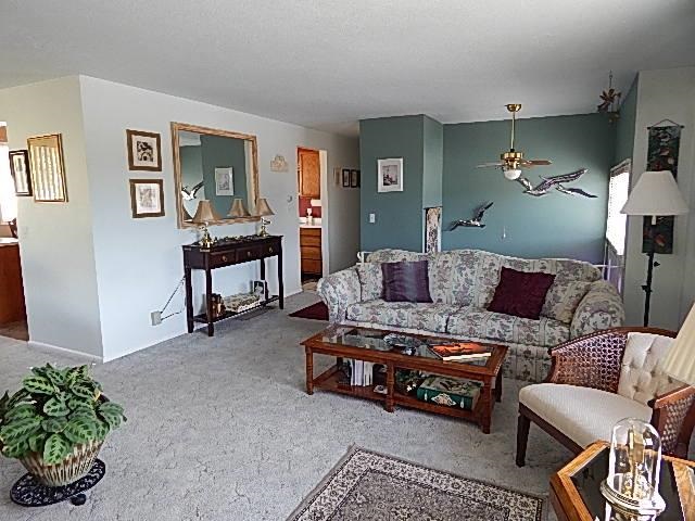 717 S Hofstetter - Photo 6