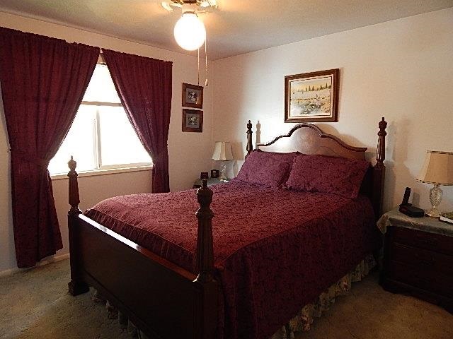 717 S Hofstetter - Photo 8