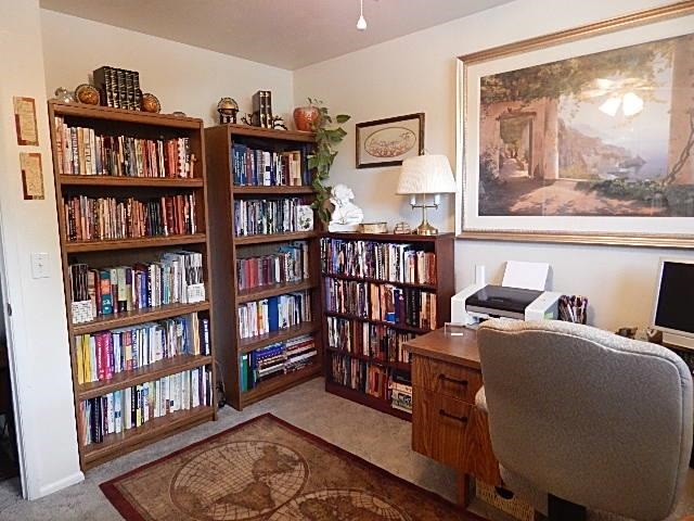 717 S Hofstetter - Photo 10