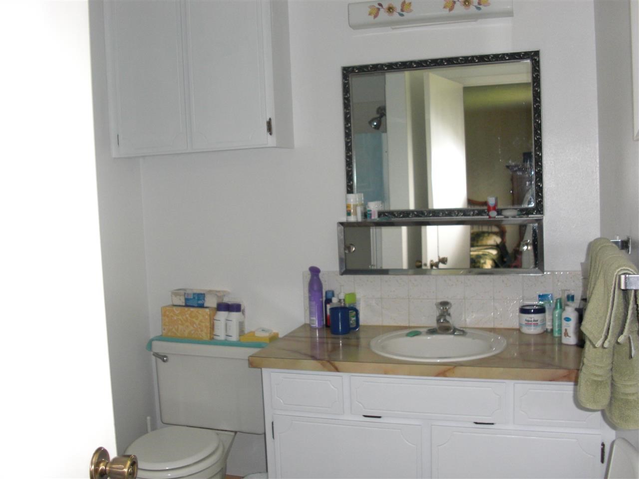 8011 N Pamela - Photo 12
