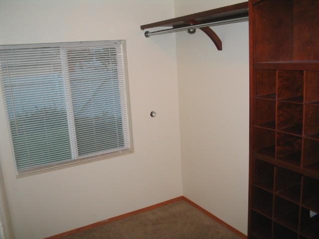 1128 E Queen - Photo 19