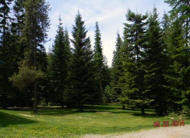 33606 Blanchard Creek Rd - Photo 17