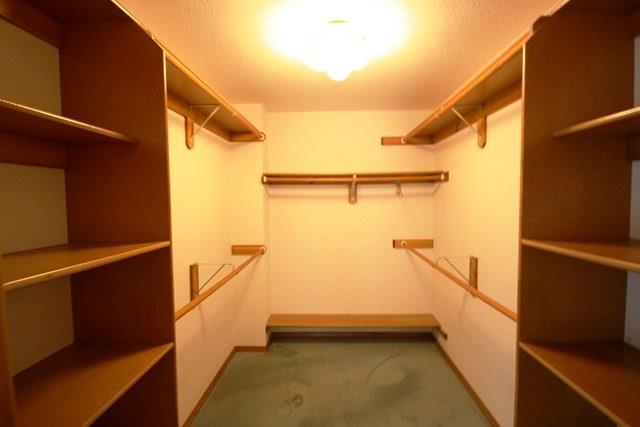 2512 S Sunnybrook Ln - Photo 11