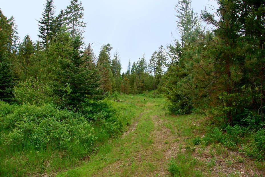 31110 N Elk-Chattaroy Rd - Photo 19
