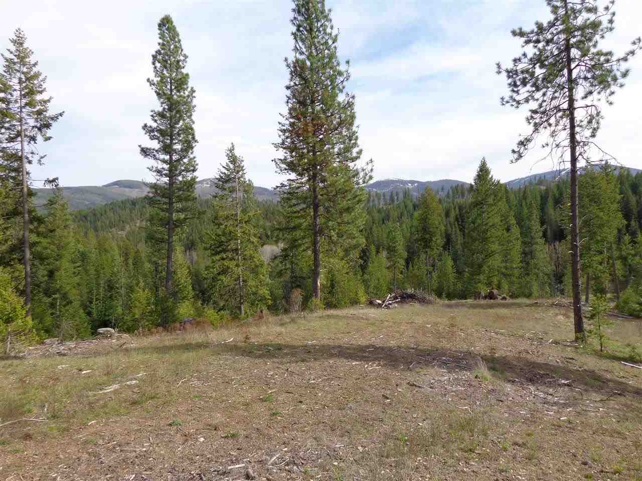 23107 E Blanchard Rd - Photo 11