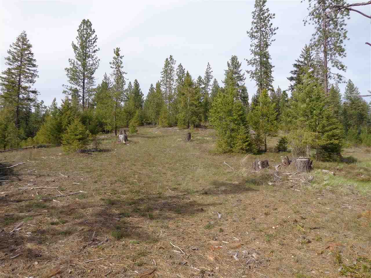 23107 E Blanchard Rd - Photo 12