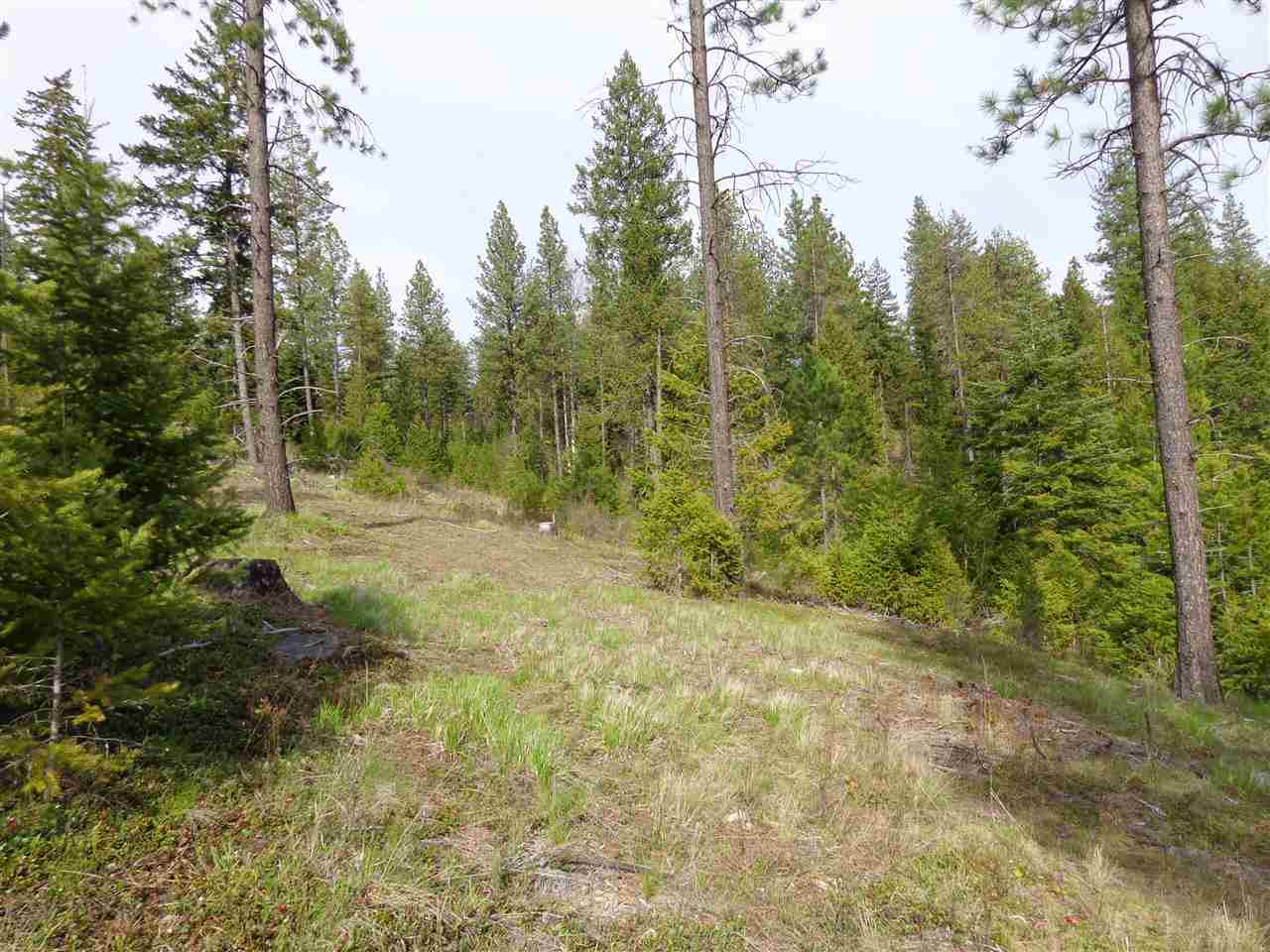 23107 E Blanchard Rd - Photo 13