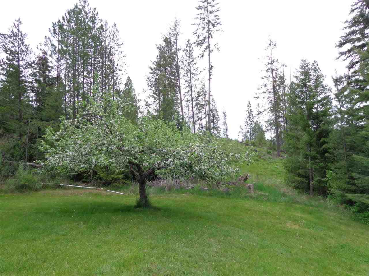23107 E Blanchard Rd - Photo 14