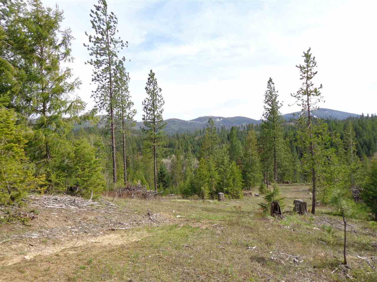 23107 E Blanchard Rd - Photo 4