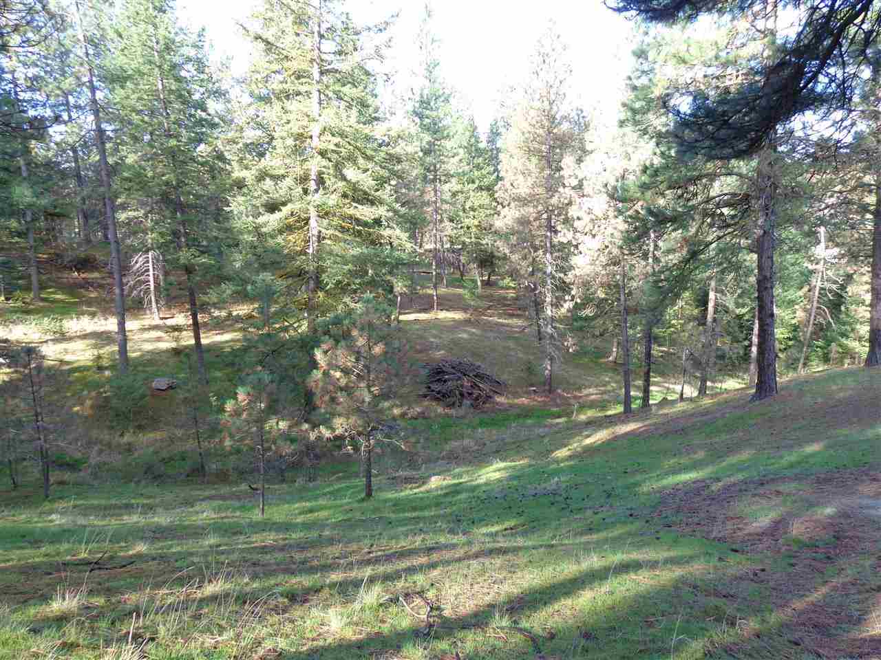 15901-A N Freya St - Photo 8