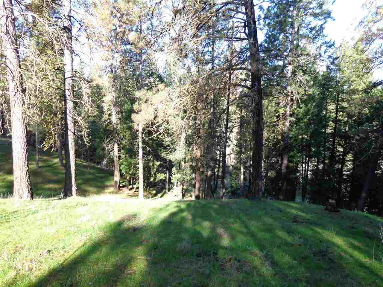 15901-A N Freya St - Photo 9
