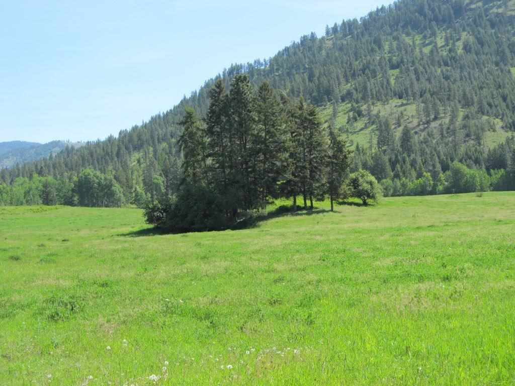 6218 Springdale Hunters Rd - Photo 19