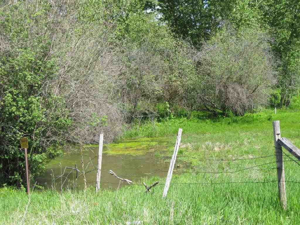 6218 Springdale Hunters Rd - Photo 20
