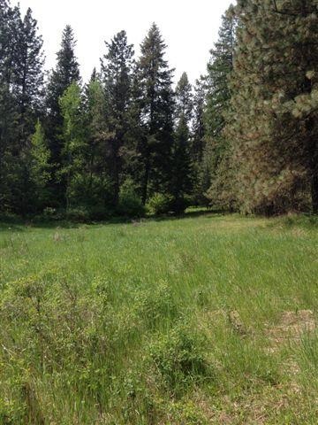 21011 N Madison Rd - Photo 4