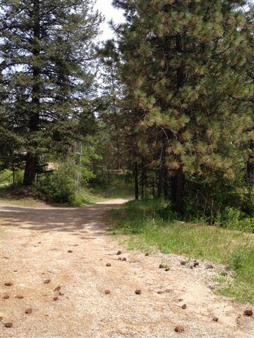 21011 N Madison Rd - Photo 10