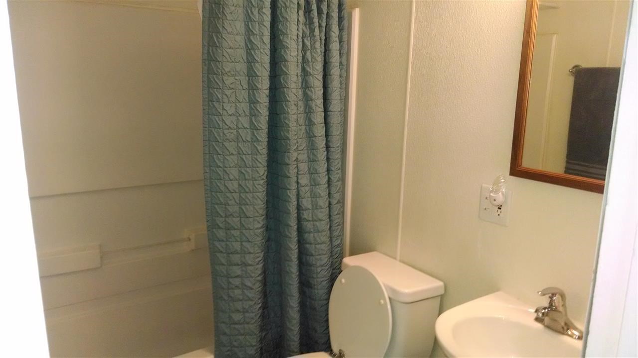 1415 N Lily - Photo 8