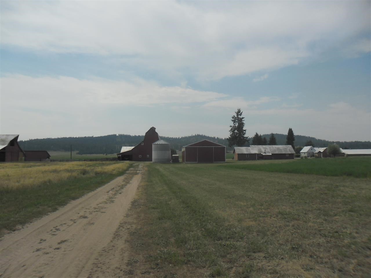 5175 S Swenson Rd - Photo 12
