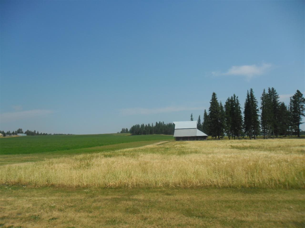 5175 S Swenson Rd - Photo 8