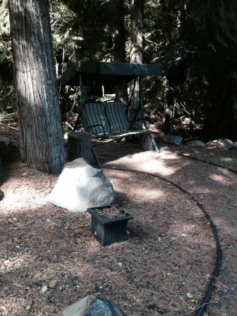 4130 Pebble Beach Rd - Photo 6