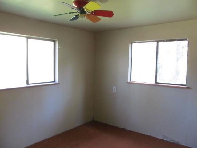 832 Furhmans Rd - Photo 4