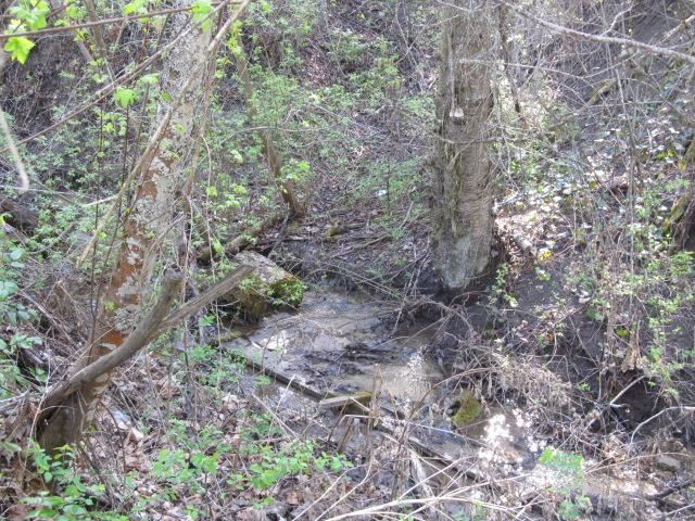 832 Furhmans Rd - Photo 7