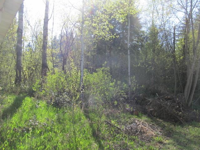 832 Furhmans Rd - Photo 8