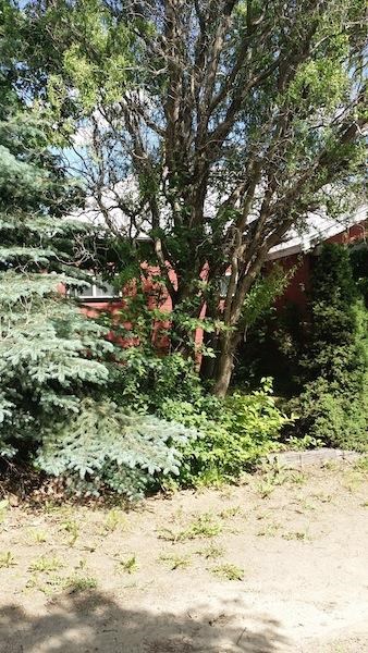 801 Logan St - Photo 3
