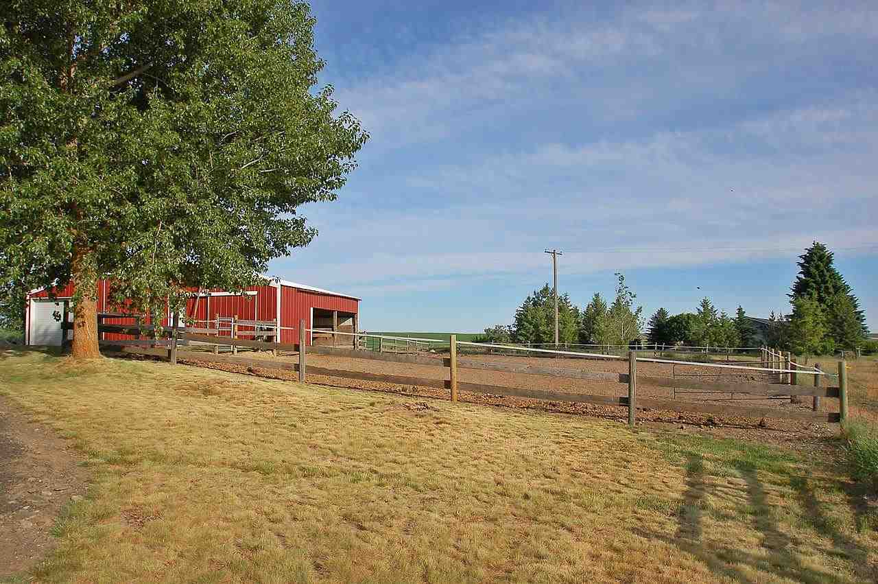 25862 Buck Flats Rd - Photo 15