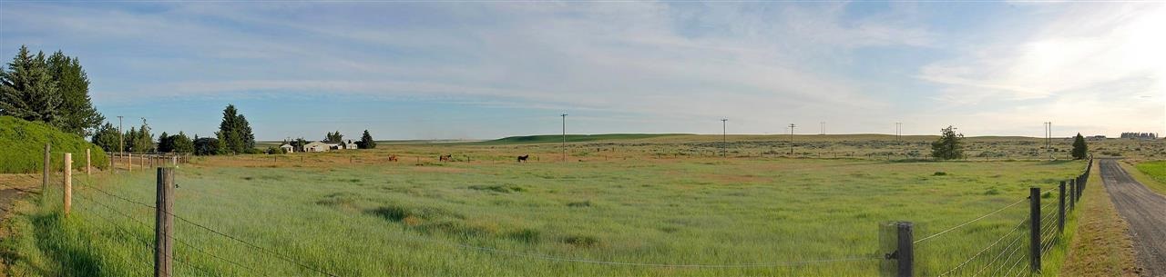 25862 Buck Flats Rd - Photo 16